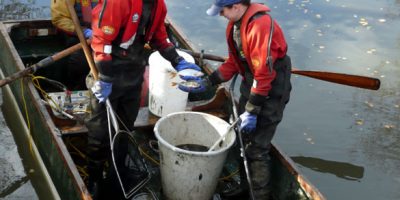 fish rescue 1.jpg
